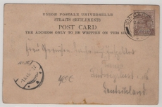 Straits Settlement, 1900, 3 C. EF Auf Bildpostkarte von Singapore nach Ludwigslust (D.)